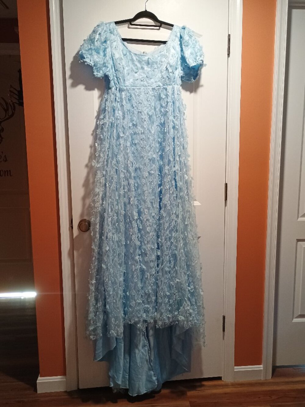 Pastel Blue Floral Applique Regency Gown with Train
